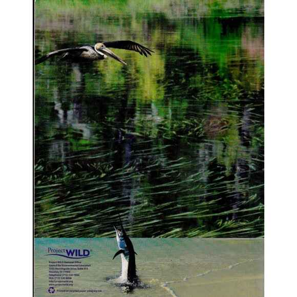 Project WILD Aquatic K–12 Curriculum Guide | Environmental Education 2001 - Picture 2 of 8